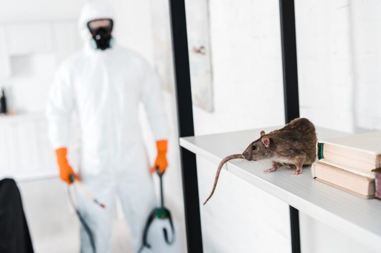 Commercial Pest Control in Chelmsford: Creating Safer, Pest-Free Spaces 
