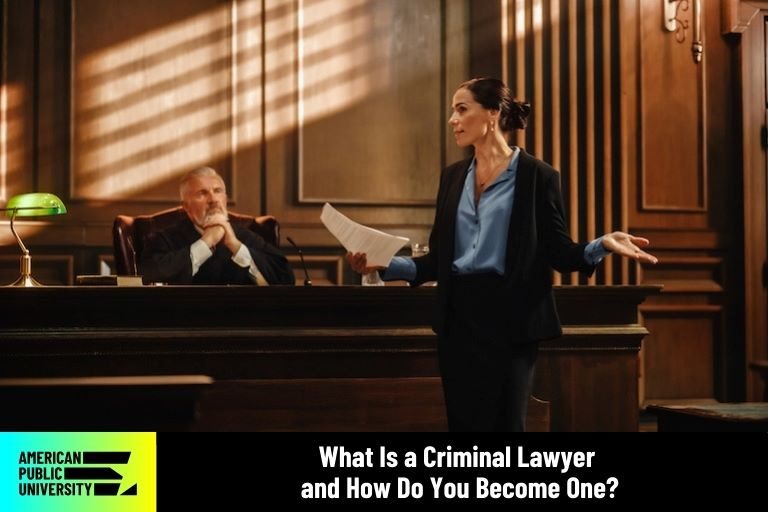 What Do Criminal Lawyers Do and When Should You Contact One?