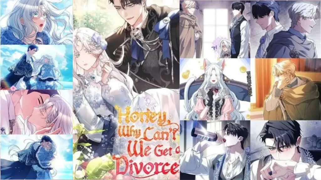 Honey Why Can't We Divorce